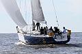 ORCi2 391